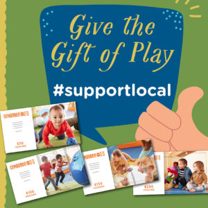 Give the Gift of Play and Support Local