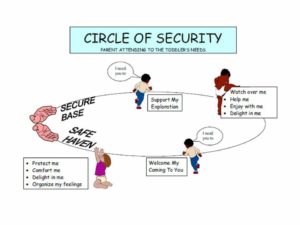 circle of security