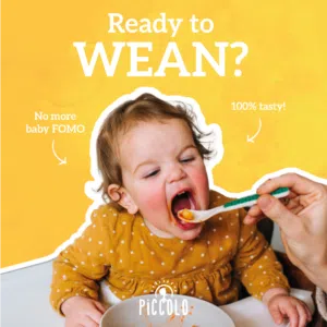 Piccolo’s Top Tips for Weaning